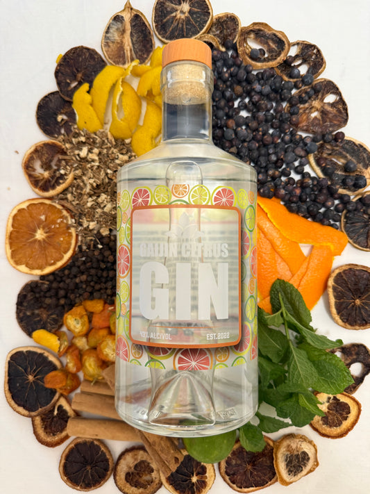 Gaijin Citrus Gin - Perfect on a hot day